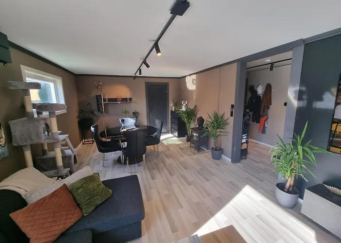 Spacious And Central Apartment With A Private Garden And Free Parking
